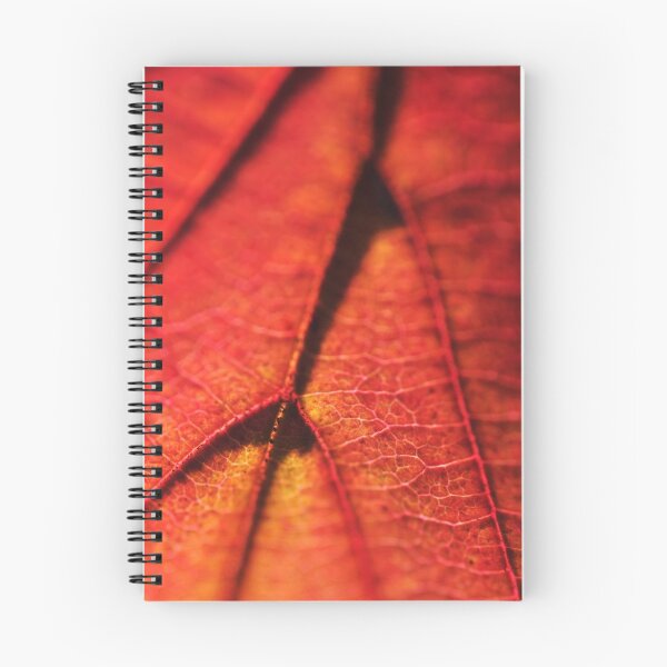 Item preview, Golden Red Venation designed and sold by RyanLeePhoto.