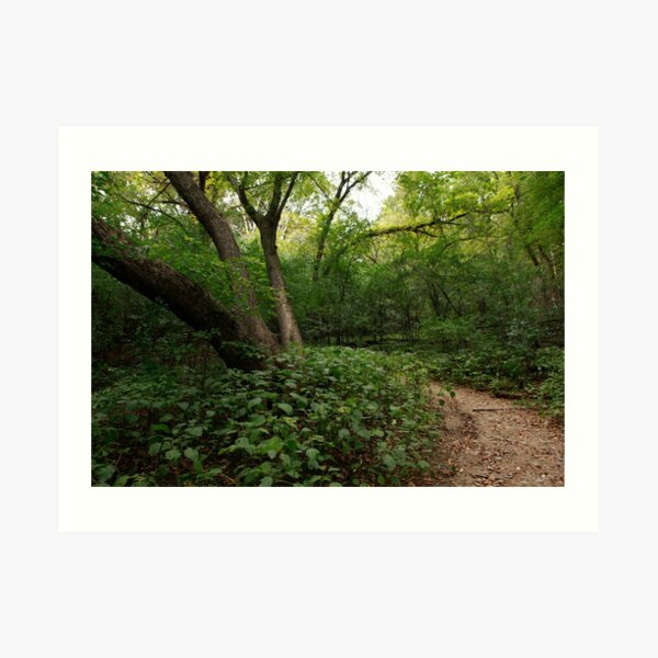 Refuge trail Art Print
