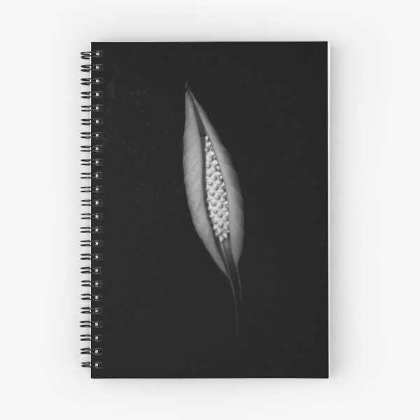 Artikelvorschau, Peace Lily b&w entworfen und verkauft von RebeccaBlackman.