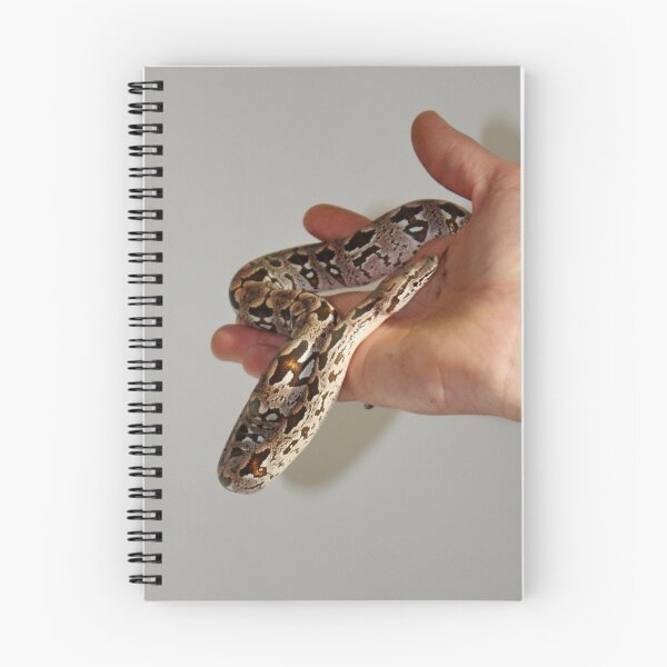 Item preview, Baby BOA  designed and sold by AnnDixon.