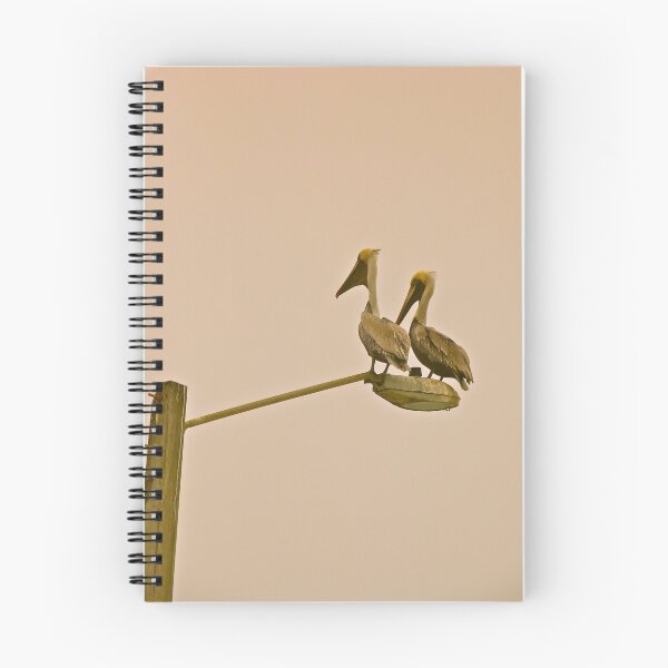 Item preview, Fred & Thelma Pelican designed and sold by Gordon Taylor.