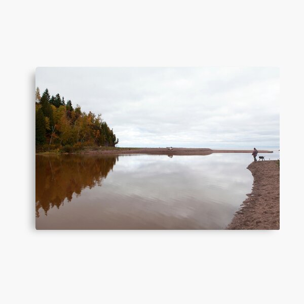 Mouth of the Gooseberry River Metal Print