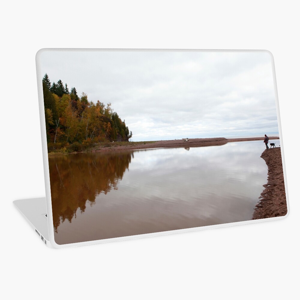 Mouth of the Gooseberry River Laptop Skin