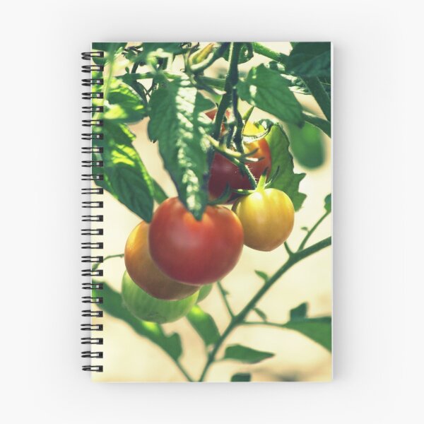 Item preview, Homegrown designed and sold by Joshua Greiner.