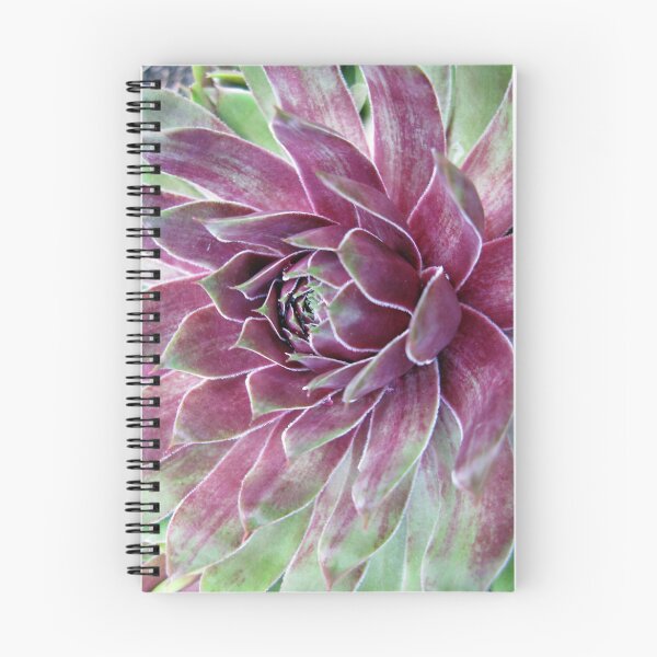 Item preview, Colorful designed and sold by CavyGirl.