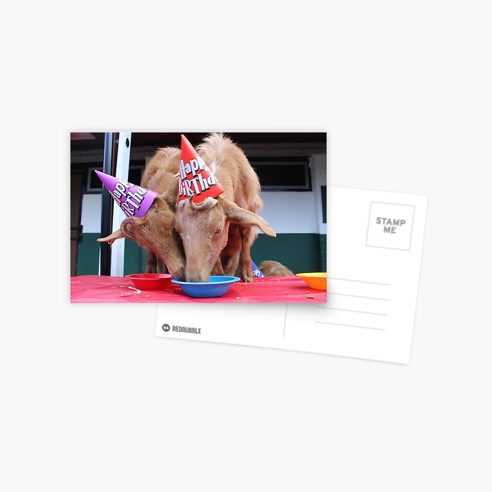 Carte De Vœux Vauxhall City Farm Chevres Joyeux Anniversaire Barney Fred Par Vauxhallfarm Redbubble