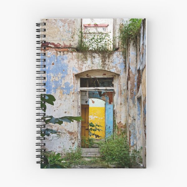 Item preview, Beautiful Decay designed and sold by Lynnette Peizer.