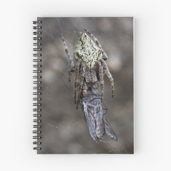 Item preview, Spider With March Fly designed and sold by David  Piko.