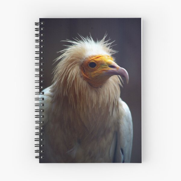 Item preview, Do I remind you of someone ? designed and sold by Terry Greenwood.