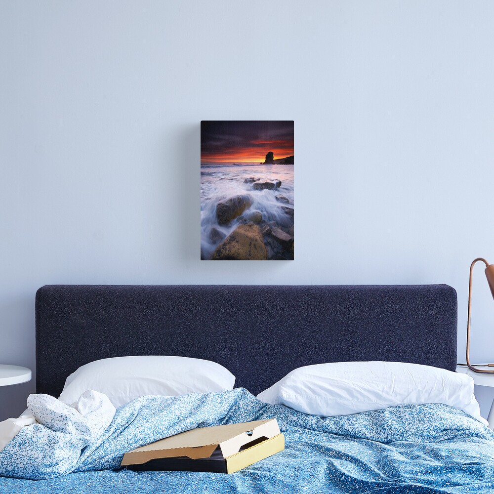 Winters dawn Canvas Print