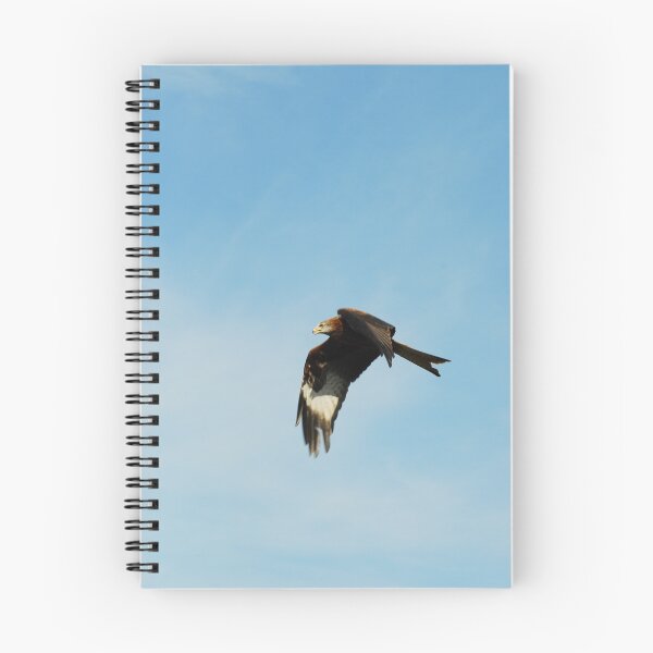 Item preview, Flying High designed and sold by Terry Greenwood.