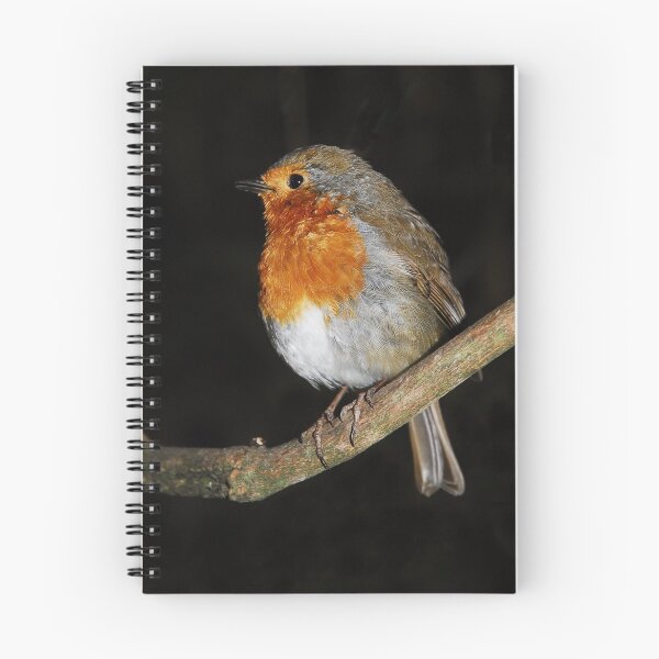 Aperçu de l'œuvre The Robin créée et vendue par Terry Greenwood.