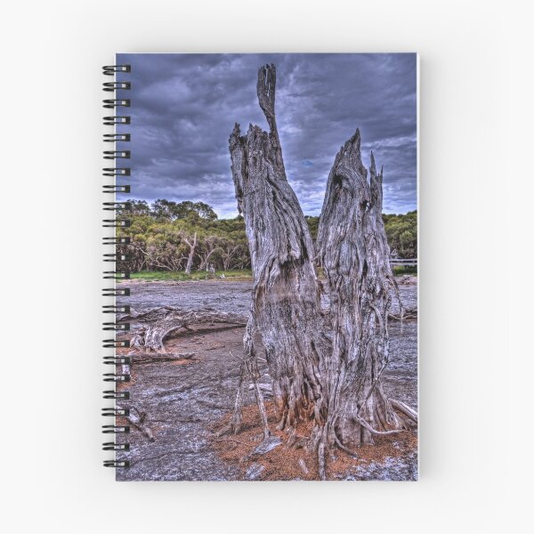 Item preview, Old stump in swamp designed and sold by Peter Rattigan.