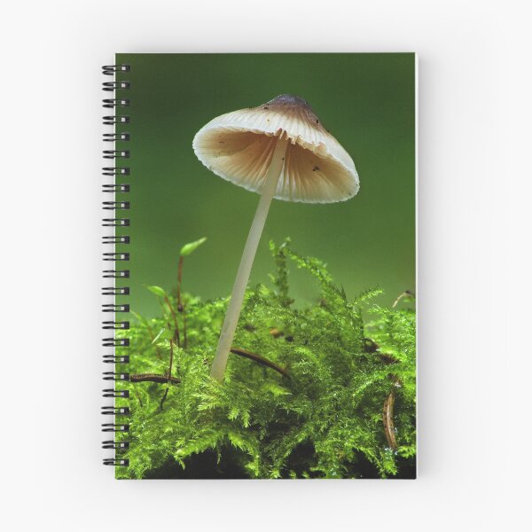 Item preview, Mycena designed and sold by Glynn May.
