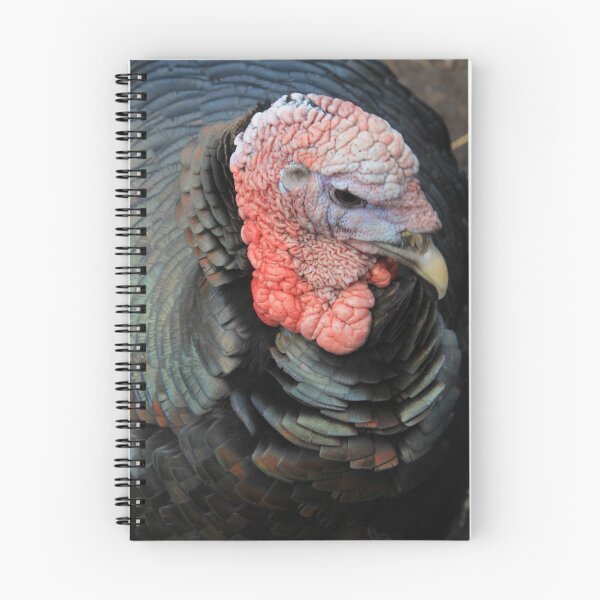 Item preview, Vauxhall City Farm - Turkey (Trevor) designed and sold by VauxhallFarm.