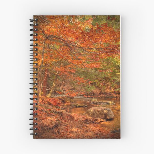 Item preview, Just Above Oneida Falls designed and sold by aaronc.