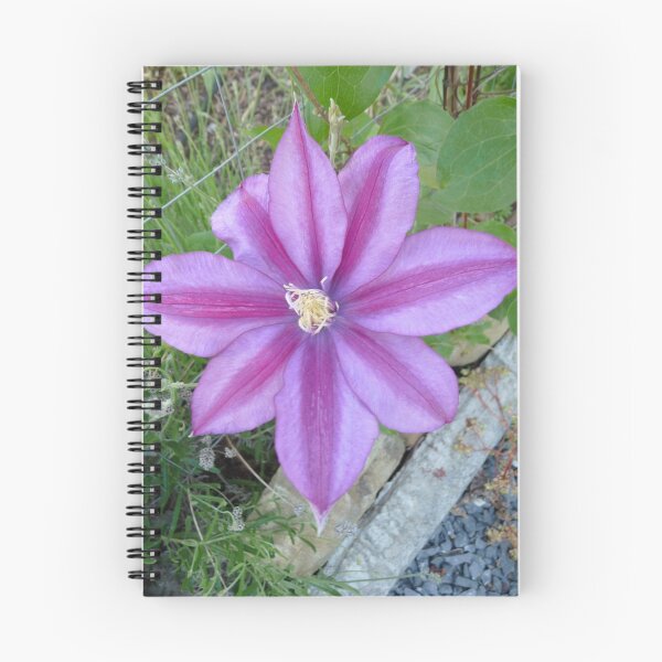 Item preview, Happiness in Mauve designed and sold by DEB CAMERON.