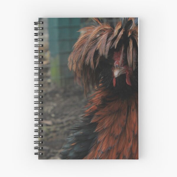 Item preview, Vauxhall City Farm - Poland Cockerel (Saturday)  designed and sold by VauxhallFarm.