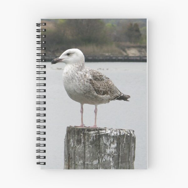 Item preview, Classic Gull designed and sold by CavyGirl.