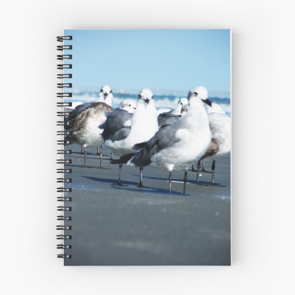 Item preview, Seagulls in Myrtle Beach SC designed and sold by Tim Oliver Photography.