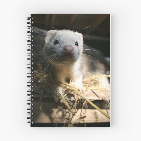 Item preview, Vauxhall City Farm - Ferret  designed and sold by VauxhallFarm.