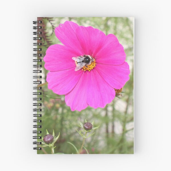 Artikelvorschau, Bumblebee on pink entworfen und verkauft von Jane Dickson.