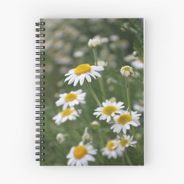 Item preview, Camomile designed and sold by Jane Dickson.