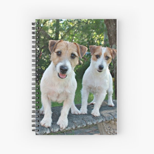 Startled! Spiral Notebook