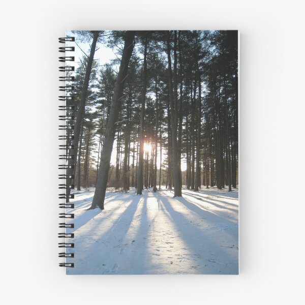 Item preview, Pine Barren Sunset, Long Island, NY designed and sold by chipster.