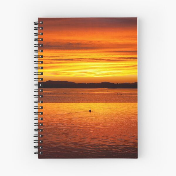 Item preview, Pelican sunset - Forster / Tuncurry Lakes designed and sold by iamwillcreative.
