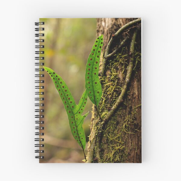 Item preview, Outstanding designed and sold by Jocelyn  Parry-Jones.