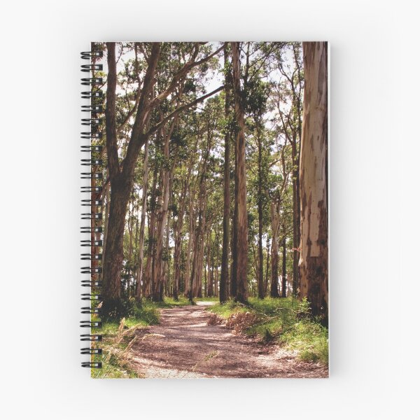 Item preview, Dandenong Ranges National Park - Mountain Ash designed and sold by John Bullen.