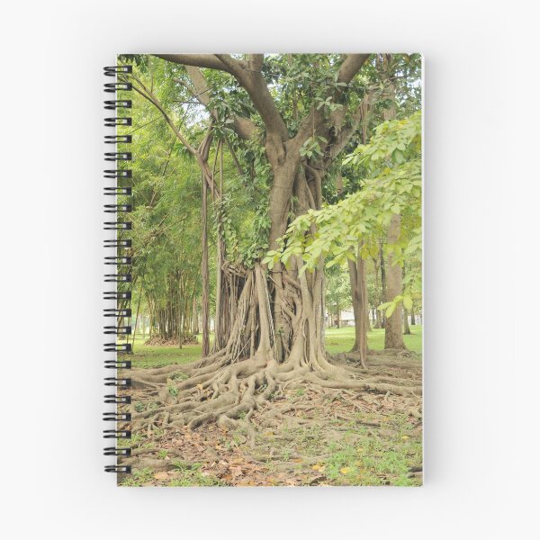 Item preview, Roots designed and sold by jon  daly.
