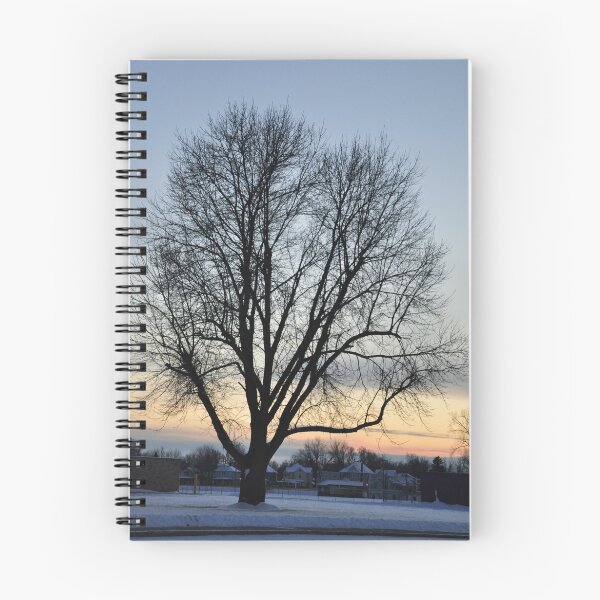 Item preview, Bare winter tree with pastel sunset designed and sold by mltrue.