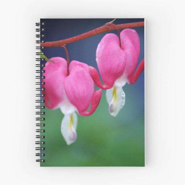 Item preview, Bleeding Hearts designed and sold by crystalventerseye.