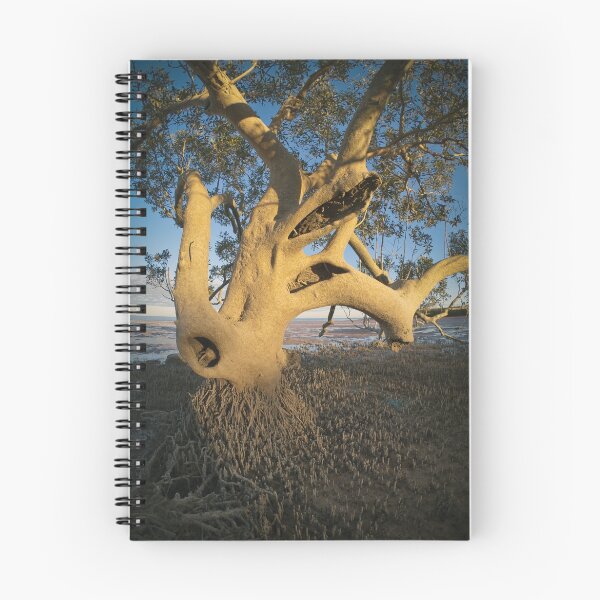 Item preview, mangrove in roebuck bay designed and sold by col hellmuth.