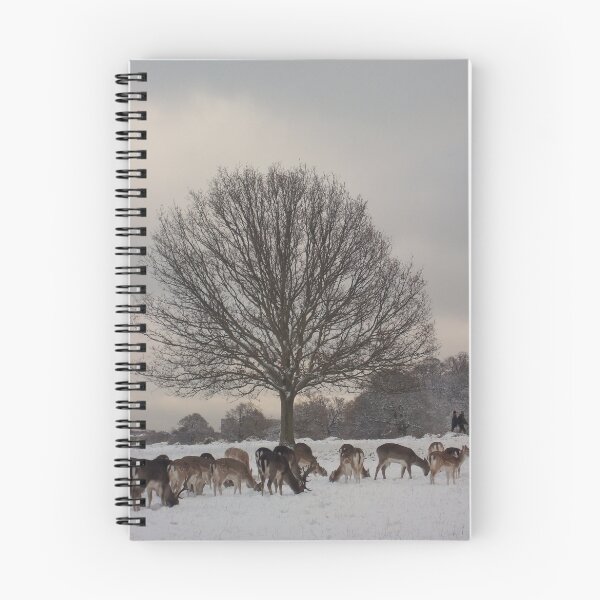 Item preview, Fallow deer in Richmond Park designed and sold by rualexa.