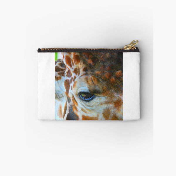 Item preview, Eye Spy designed and sold by Dana Yoachum.