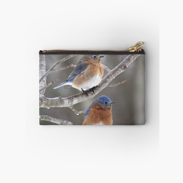 Artikelvorschau, Herr und Frau Eastern Bluebird entworfen und verkauft von InGFocus.