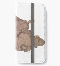 BJJ - passing the guard iPhone Wallet/Case/Skin