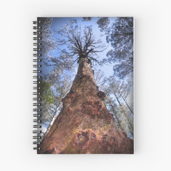 Item preview, The Majestic Mountain Ash designed and sold by John Bullen.