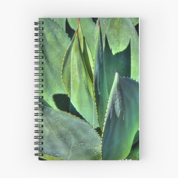 Item preview, Agave designed and sold by Bill Wetmore.