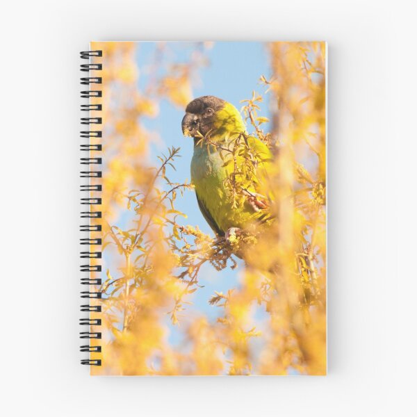 Item preview, "Bird In Paradise" - wild Nanday Conure in Largo, Florida designed and sold by ArtThatSmiles.