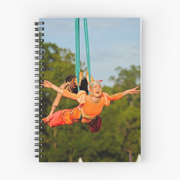 Item preview, Australia Day | 2011 Parramatta Park designed and sold by DavidIori.