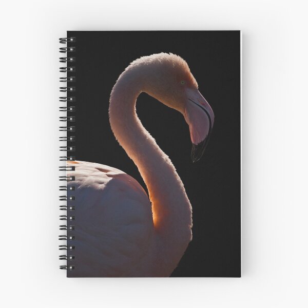 Item preview, Flamingo at Slimbridge designed and sold by Shaun Whiteman.