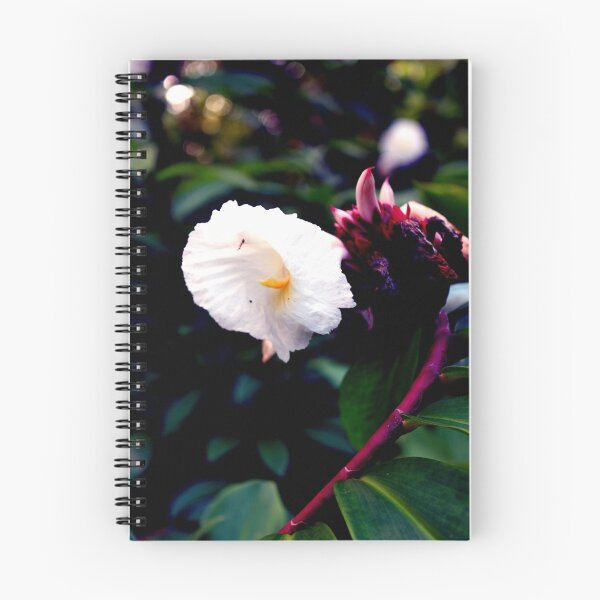 Artikelvorschau, Beauty on the Island of Maui  entworfen und verkauft von Diana Cox.