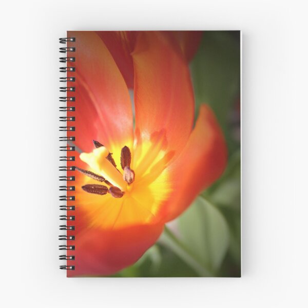 Item preview, Splash of Color designed and sold by kdg2day.