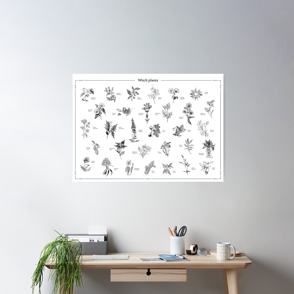 Witch plants Póster
