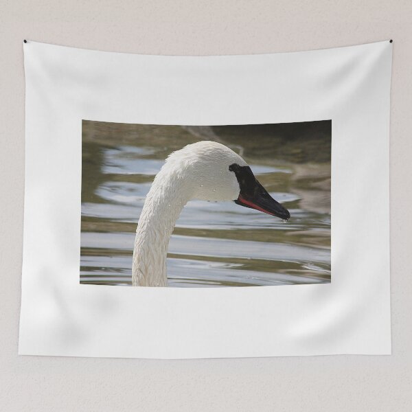 Item preview, Trumpeter Swan designed and sold by Alyce Taylor.