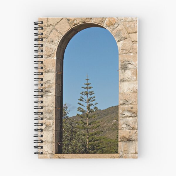 Item preview, Lone Pine, Trial Bay Goal, NSW designed and sold by clearviewstock.